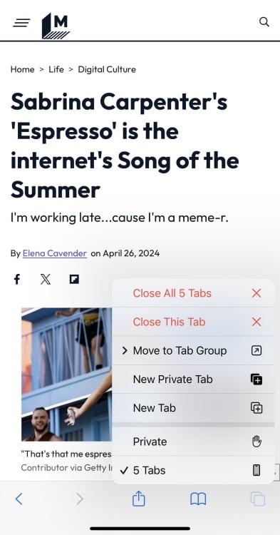 A screenshot of an article on Safari on iPhone.