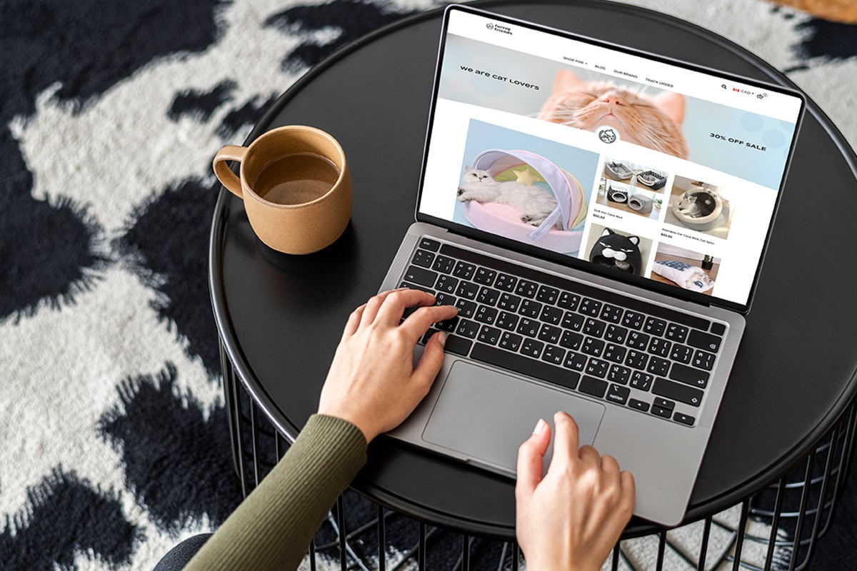 Woman using e-commerce site on laptop.