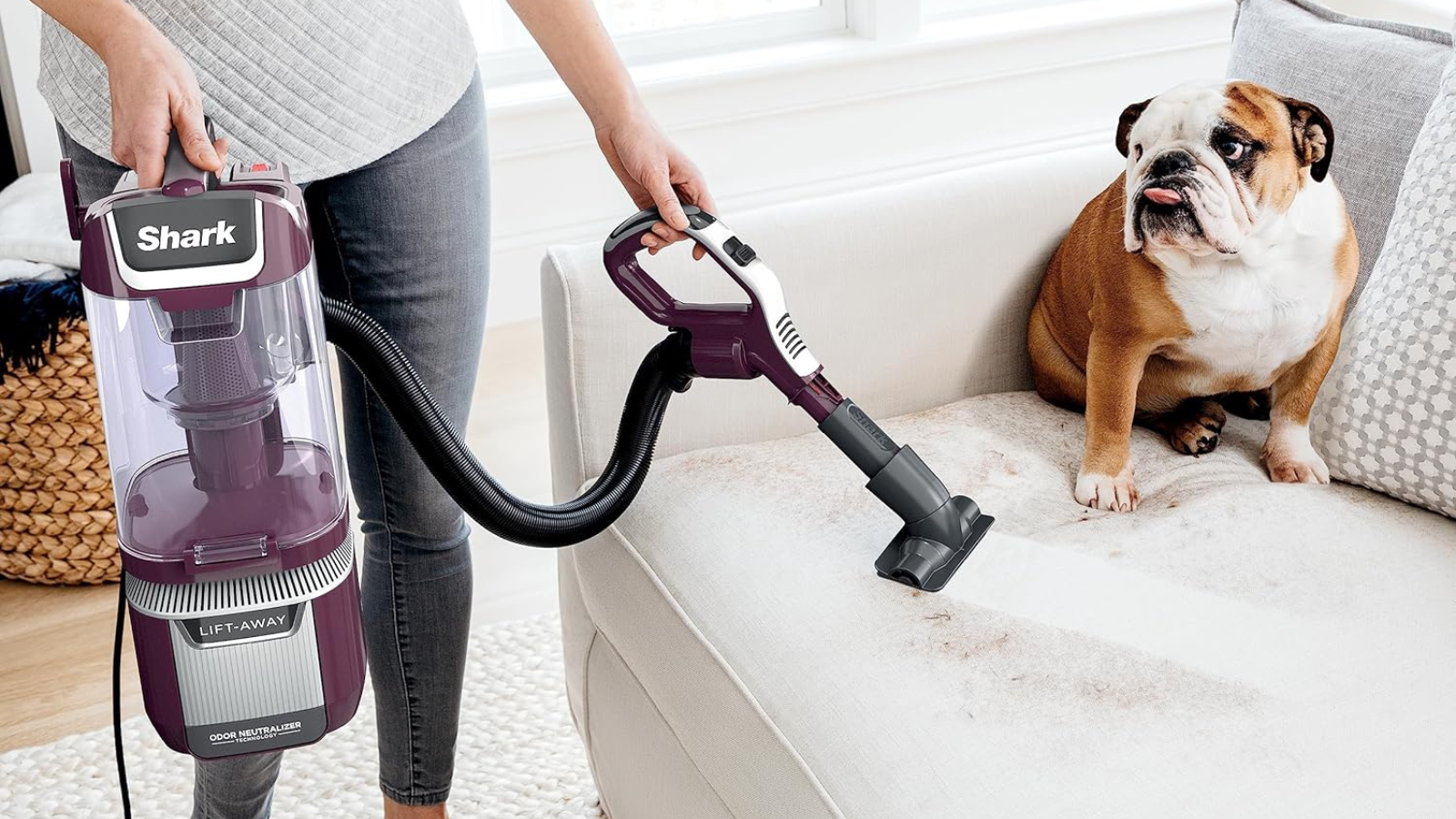 person using Shark vacuum to clean couch with dog sitting on it