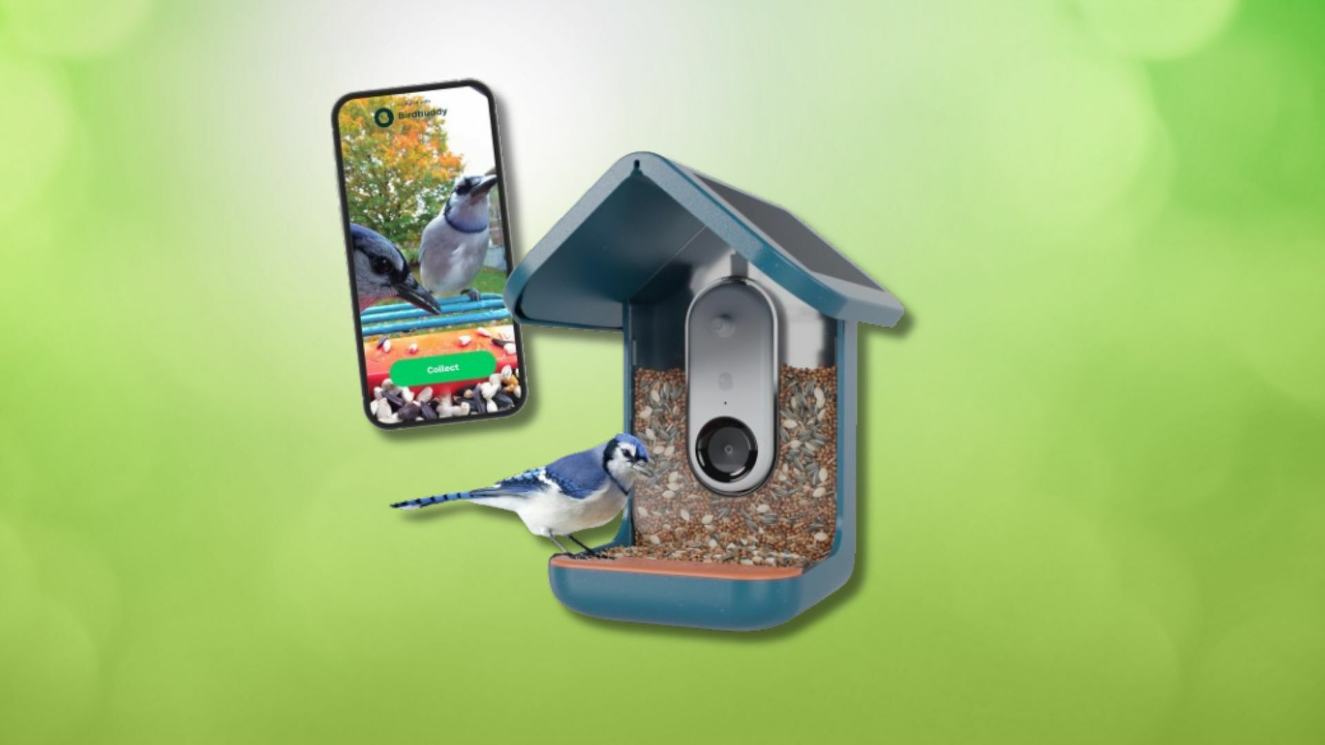A Bird Buddy and a smartphone using the Bird Buddy app are pictured against a green background 
