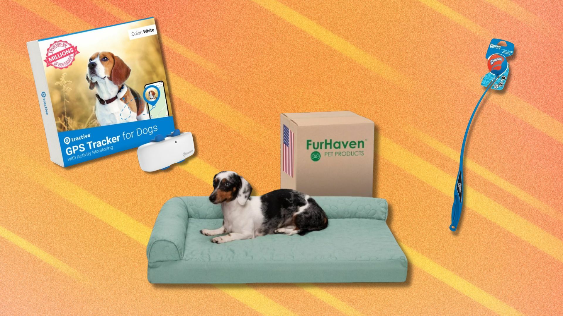 a tractive GPS tracker for dogs, a furhaven dog bed with its box and dog sleeping on the bed, and a chuckit ball launcher on an orange background