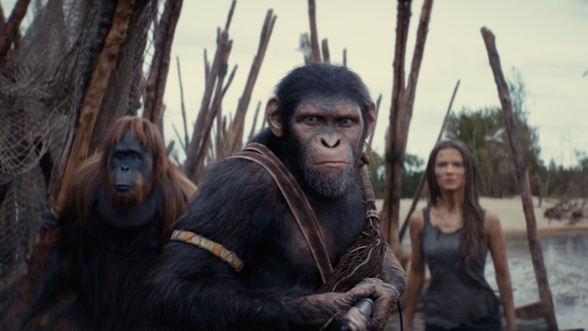 Noa, Mae, and Raka in "Kingdom of the Planet of the Apes."