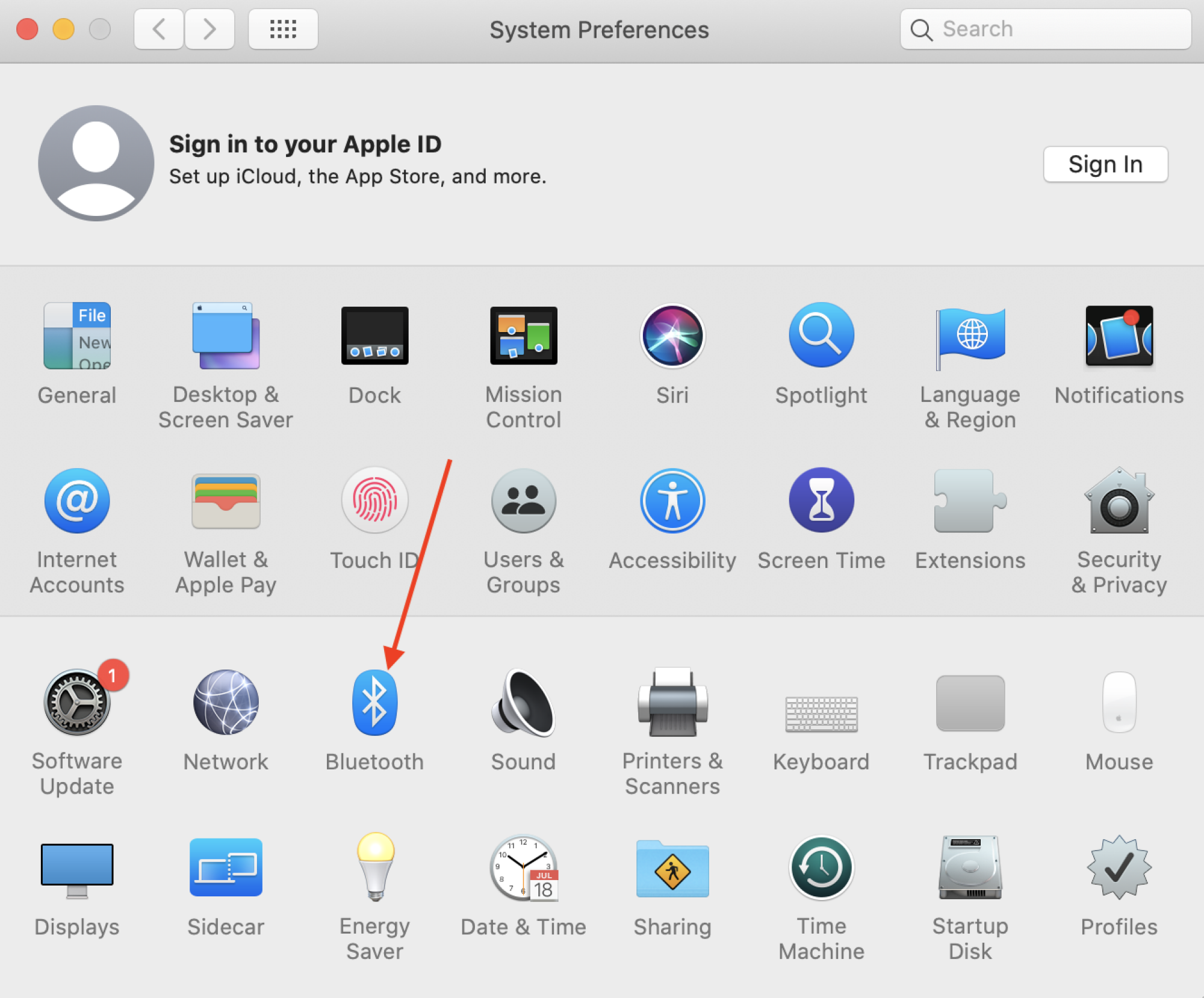 Screenshot of a Mac's System Preferences window, with the Bluetooth icon highlighted.