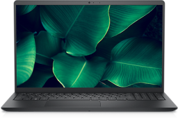 a Dell Inspiron 15 (3535) with a green botanical screensaver