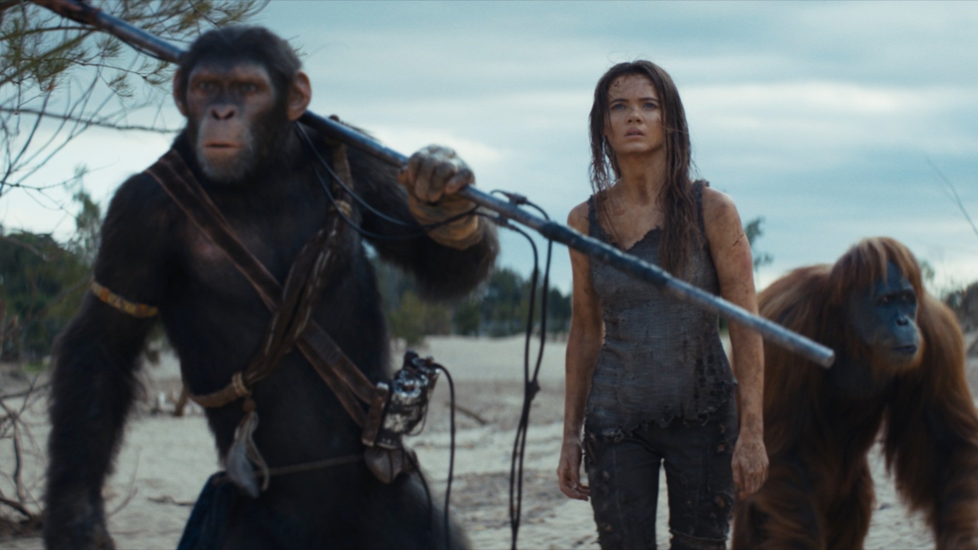 Owen Teague, Freya Allan, and Peter Macon star in "Kingdom of the Planet of the Apes."