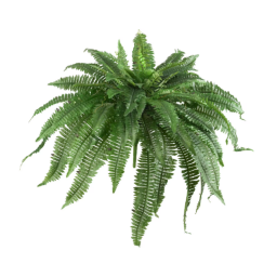 Artificial Boston Ferns