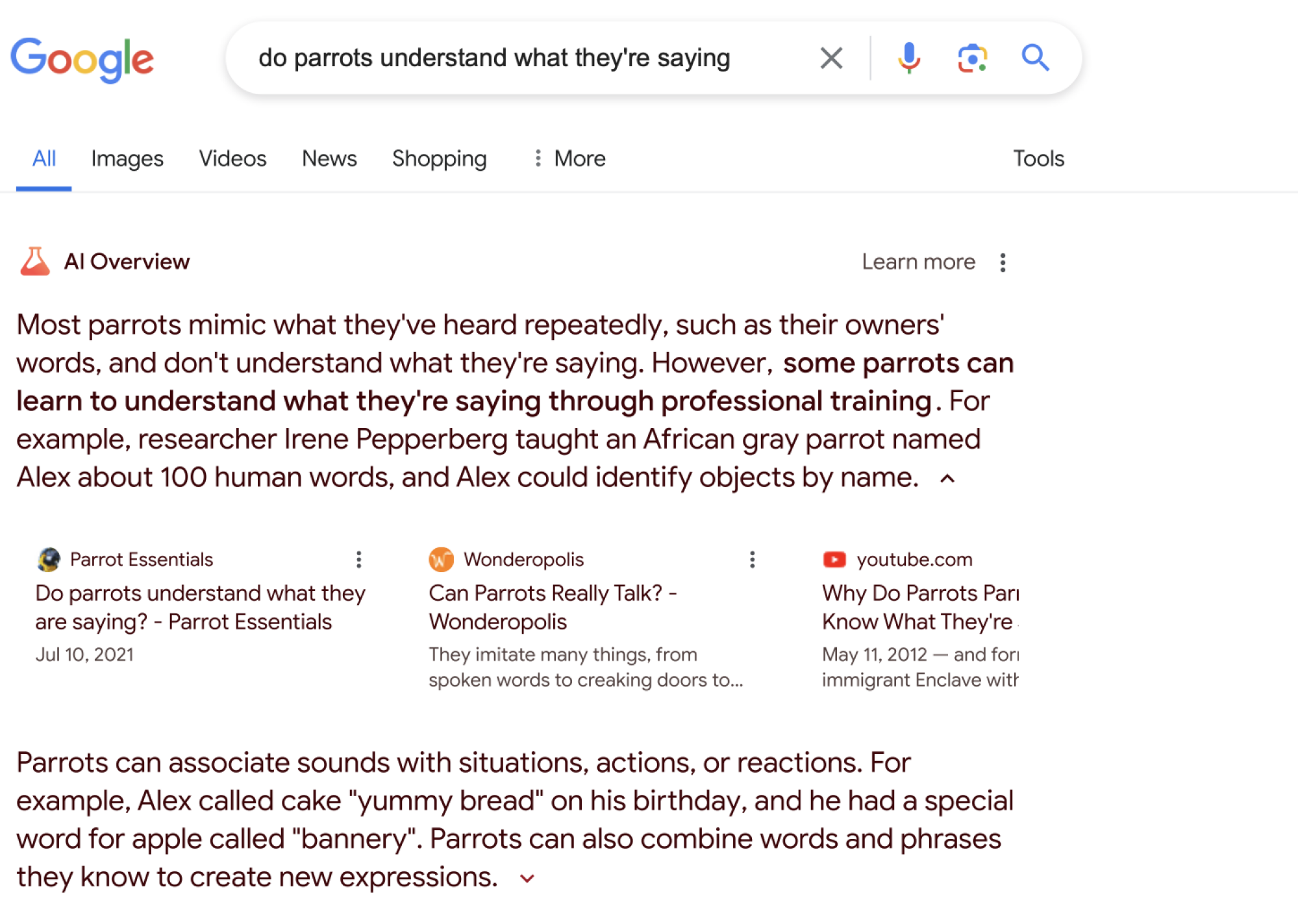 The AI Overview for "do parrots understand what they're saying" starts with with conventional wisdom: "Most parrots mimic what they've heard repeatedly, such as their owners' words, and don't understand what they're saying."