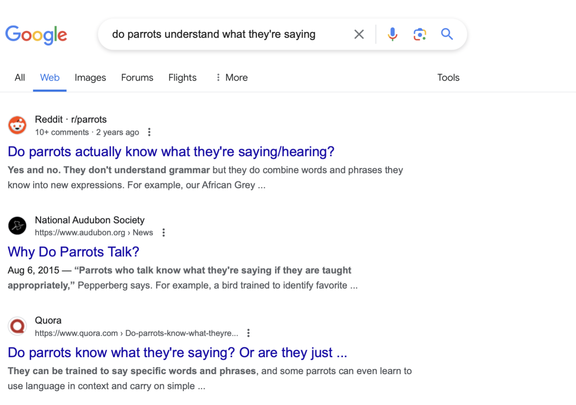 The top result for "do parrots understand what they're saying" that search without AI delivers the user to a Reddit discussion.