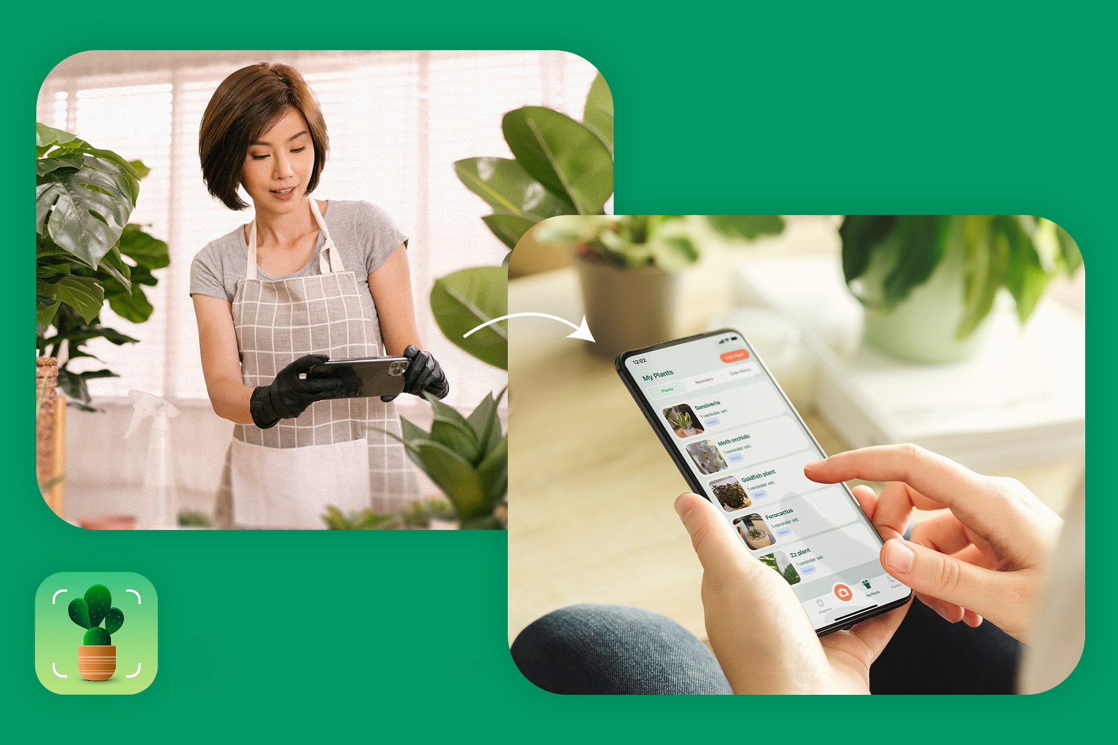 photo collage showing woman photographing plant and plant identifier app