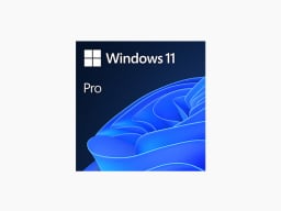 Windows 11 Pro 