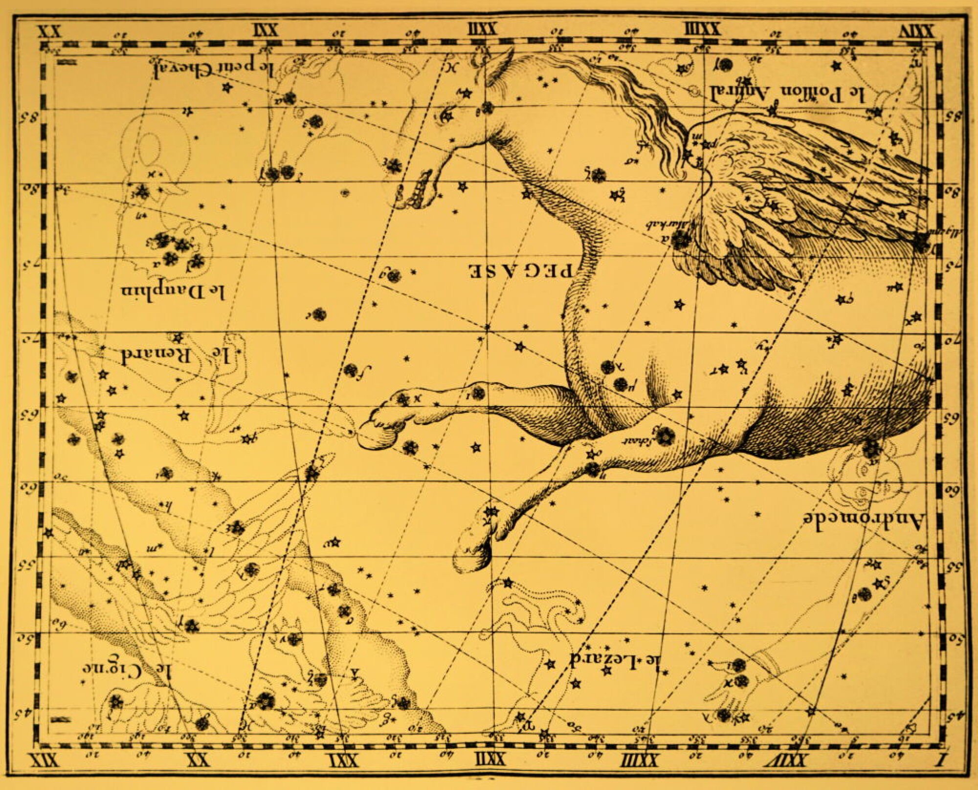 Depicting the Pegasus constellation