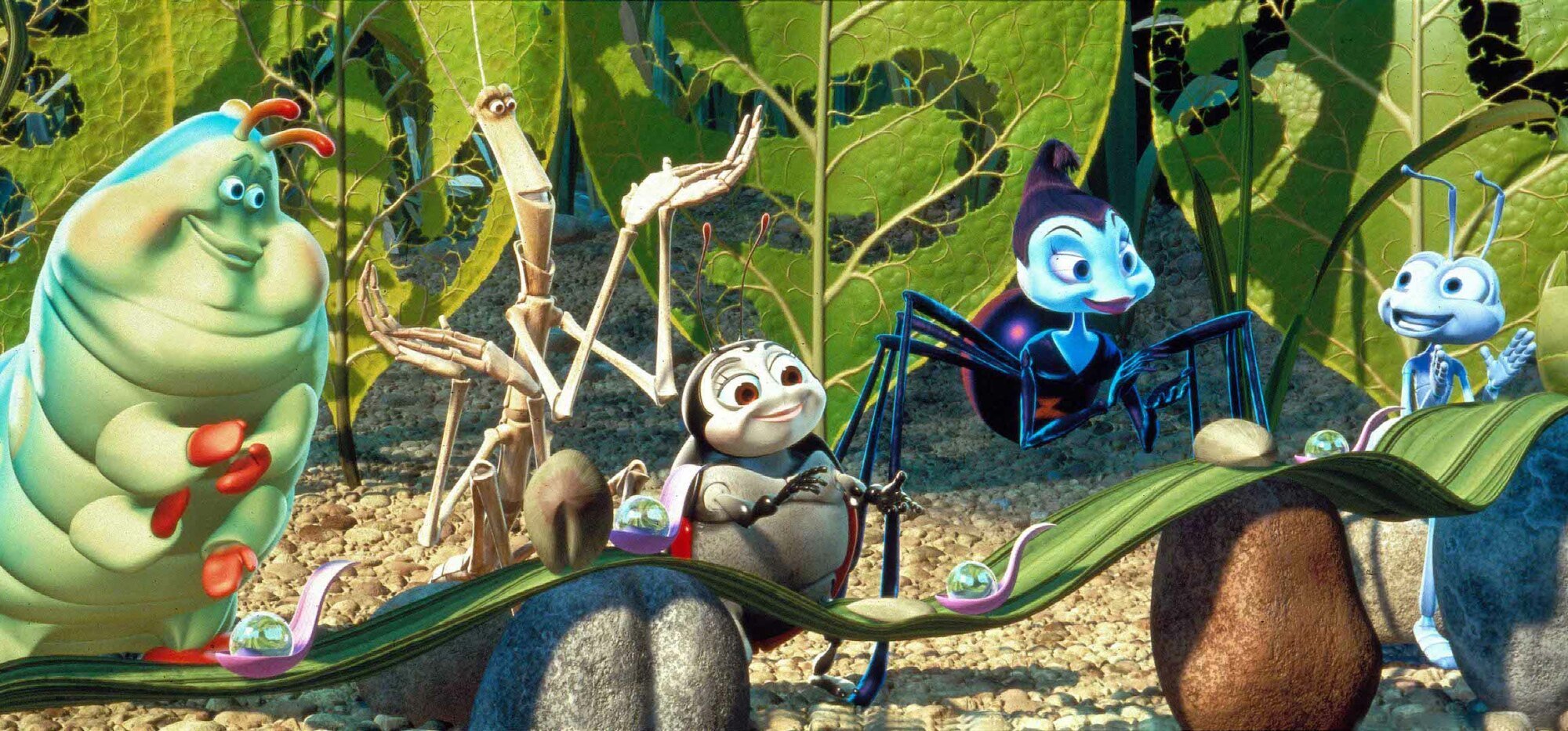 Animated still of a caterpillar, walking stick, ladybug, spider, and ant, all with anthropomorphized faces. They smile, look at each other, and clap in a leafy clearing.