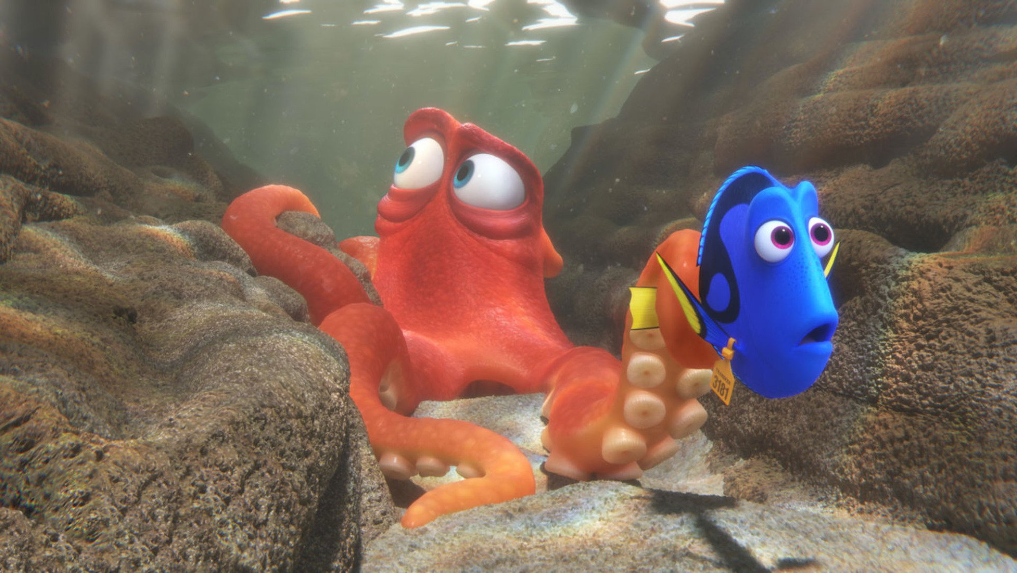 Animated still of a large orange octopus and a small blue tang swimming through the ocean.