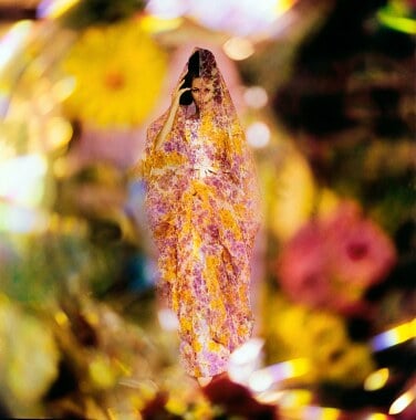 An image of a model wearing a silk dress and shawl, with a blurred floral background.