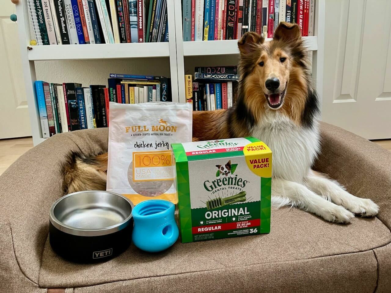 Collie on a bed next to a yeti bowl, full moon treats, greenies, and a west paw topple