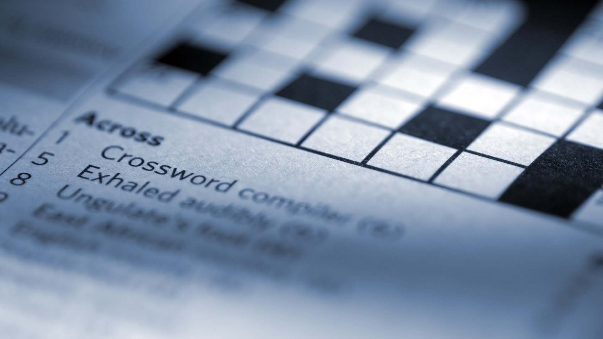 Closeup view of crossword puzzle clues