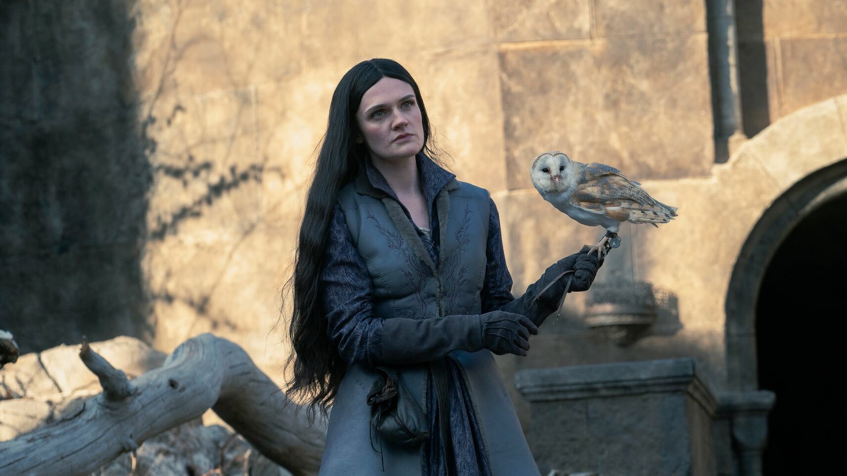 A woman in medieval clothes stands in castle ruins holding an owl.