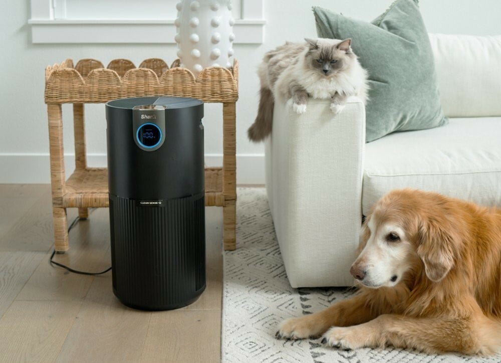 the shark air purifier max sits on a living room floor next to the sofa. A cat is on the sofa's arm and a dog is laying on the floor near the air purifier