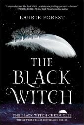 the black witch book cover on a white background