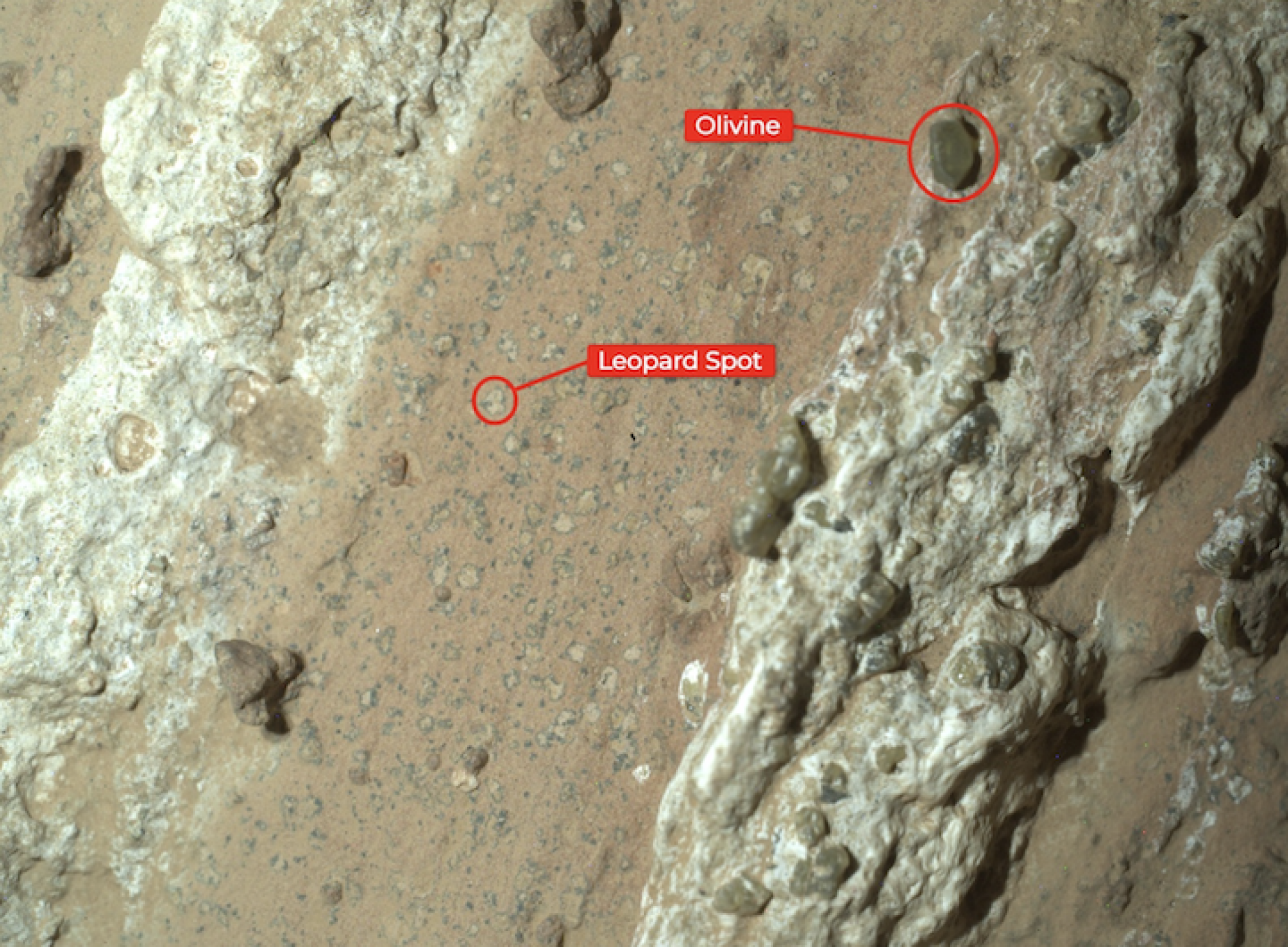 The "leopard spot" splotches found in a new Mars rock sample.