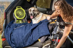 dog in car with ryobi fan next to person setting up bike outside