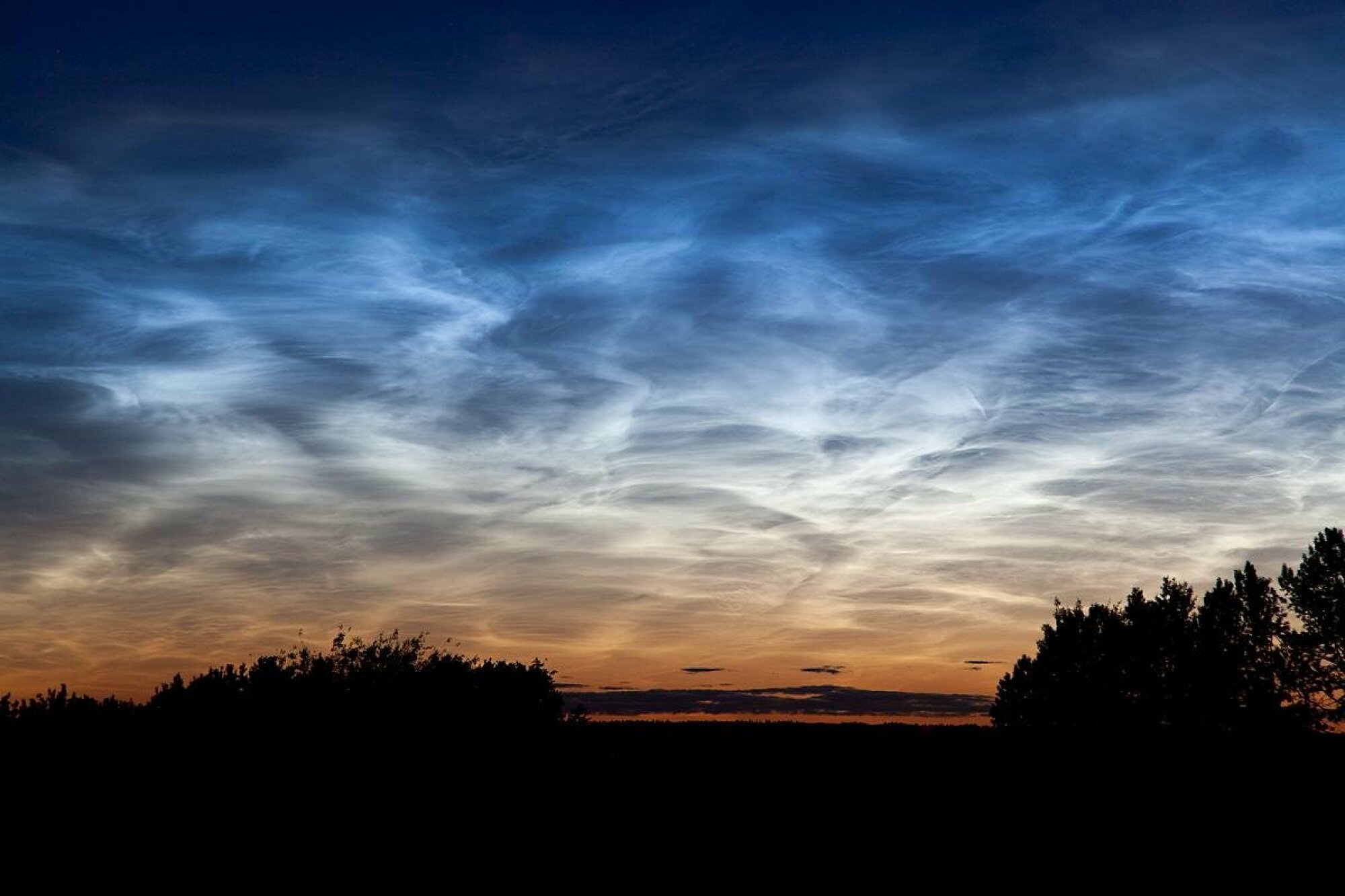 Viewing noctilucent clouds from Earth