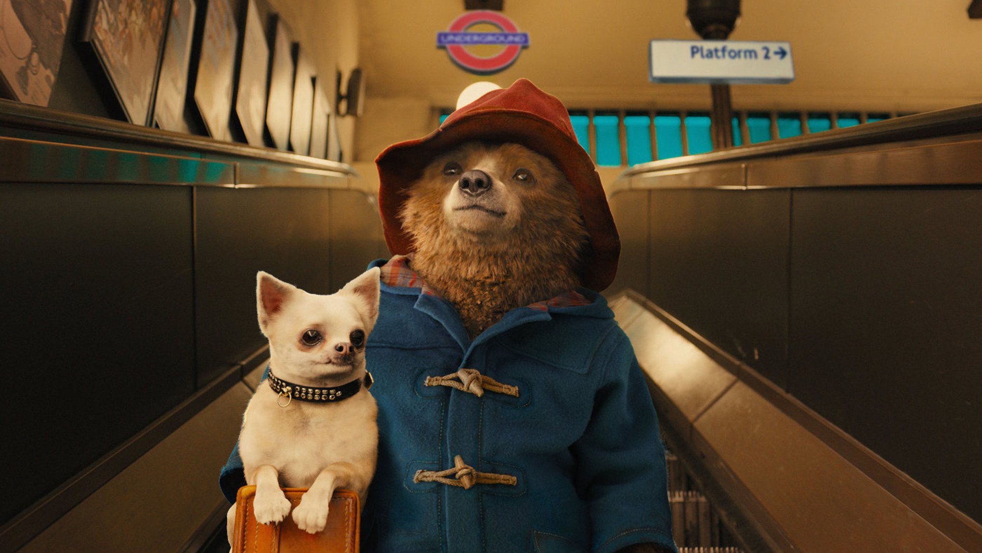 Paddington Bear holds a small white dog. 