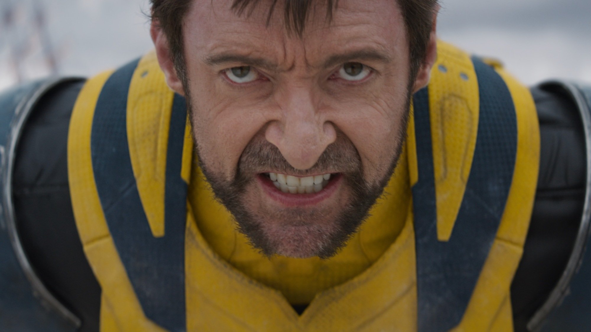 Wolverine bares his teeth. 