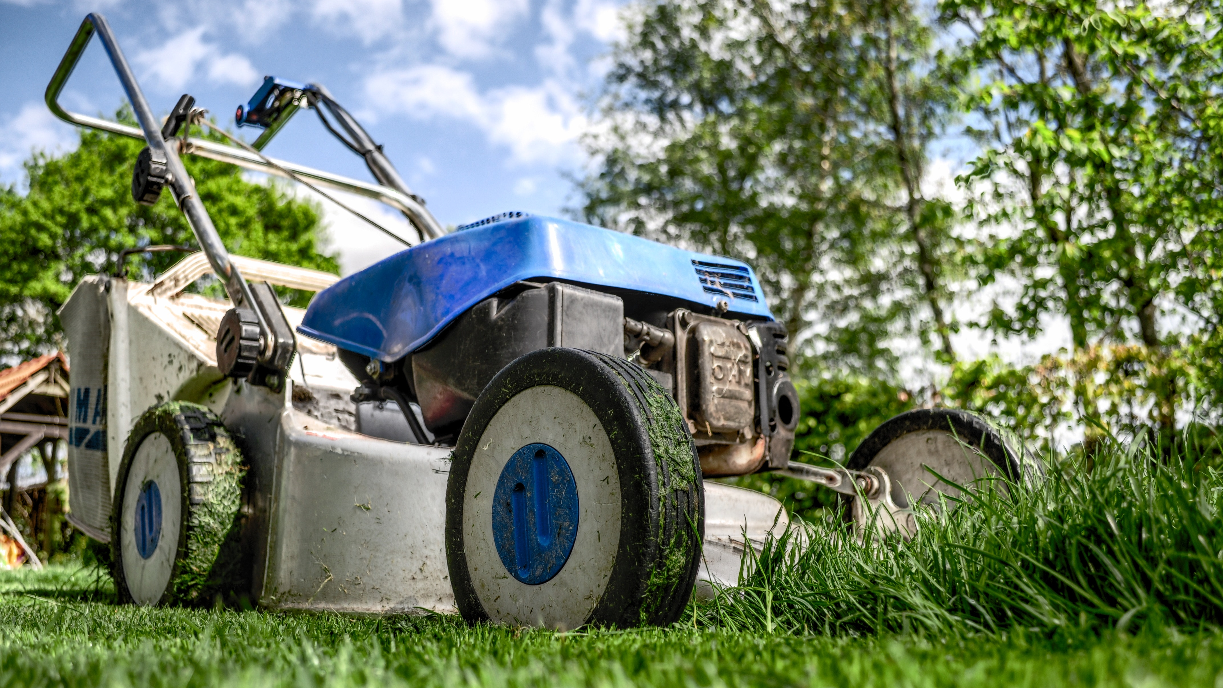 A close up lawn mower cutting grass