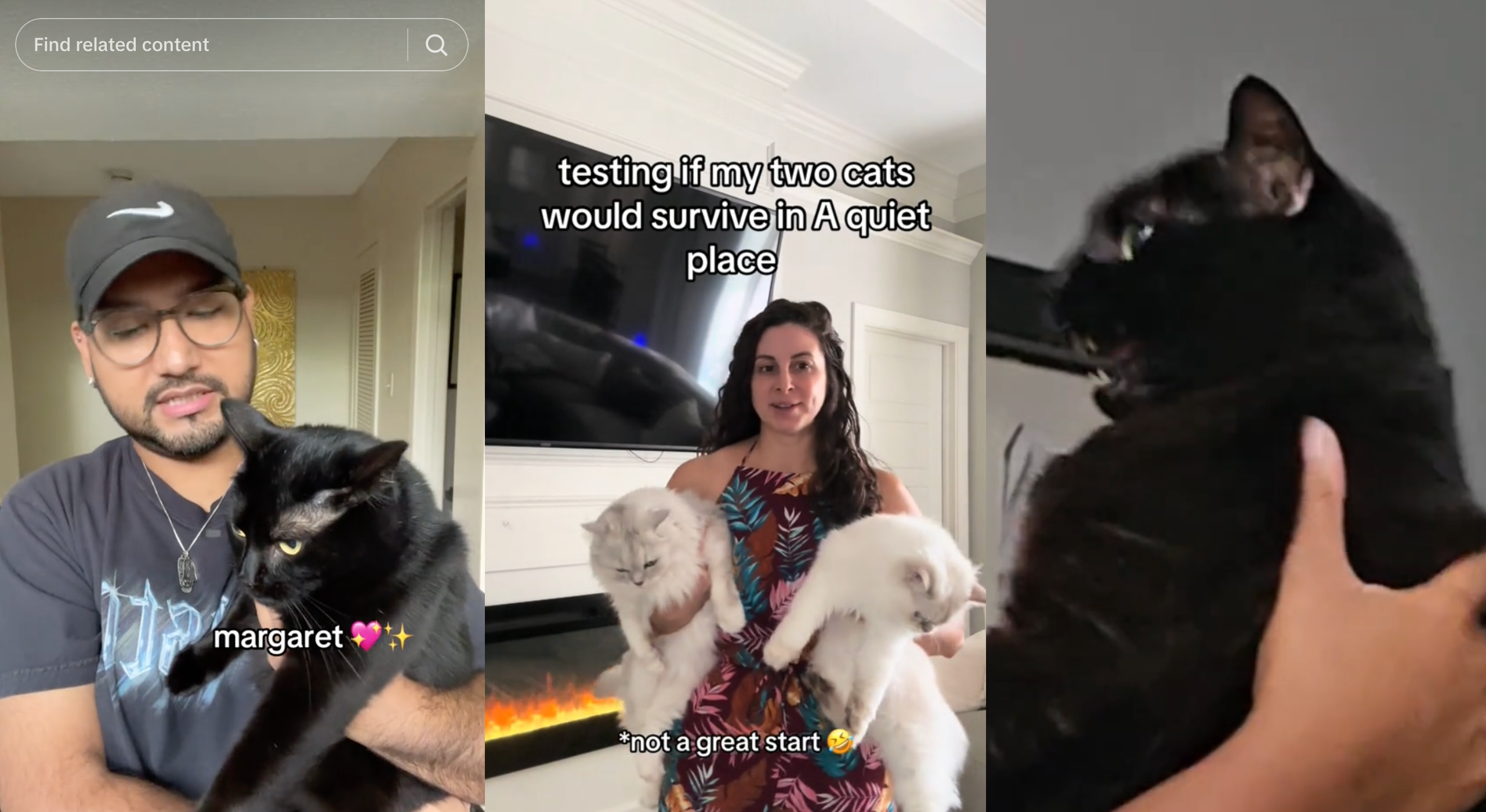 Screenshots of TikTok showing a trend for cats in A Quiet Place Day One