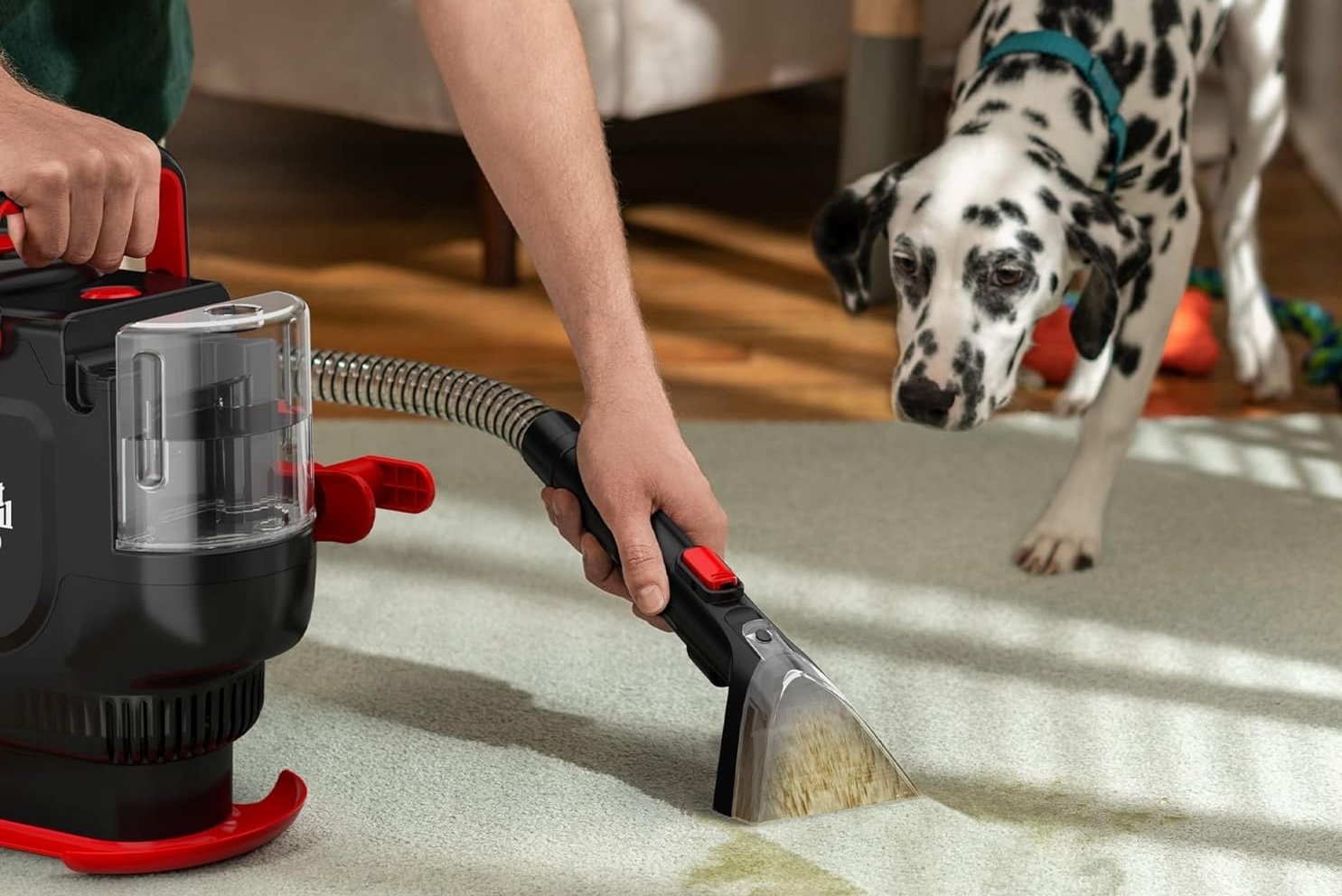 Dalmatian dog looks at Dirt Devil Portable Spot cleaning carpet