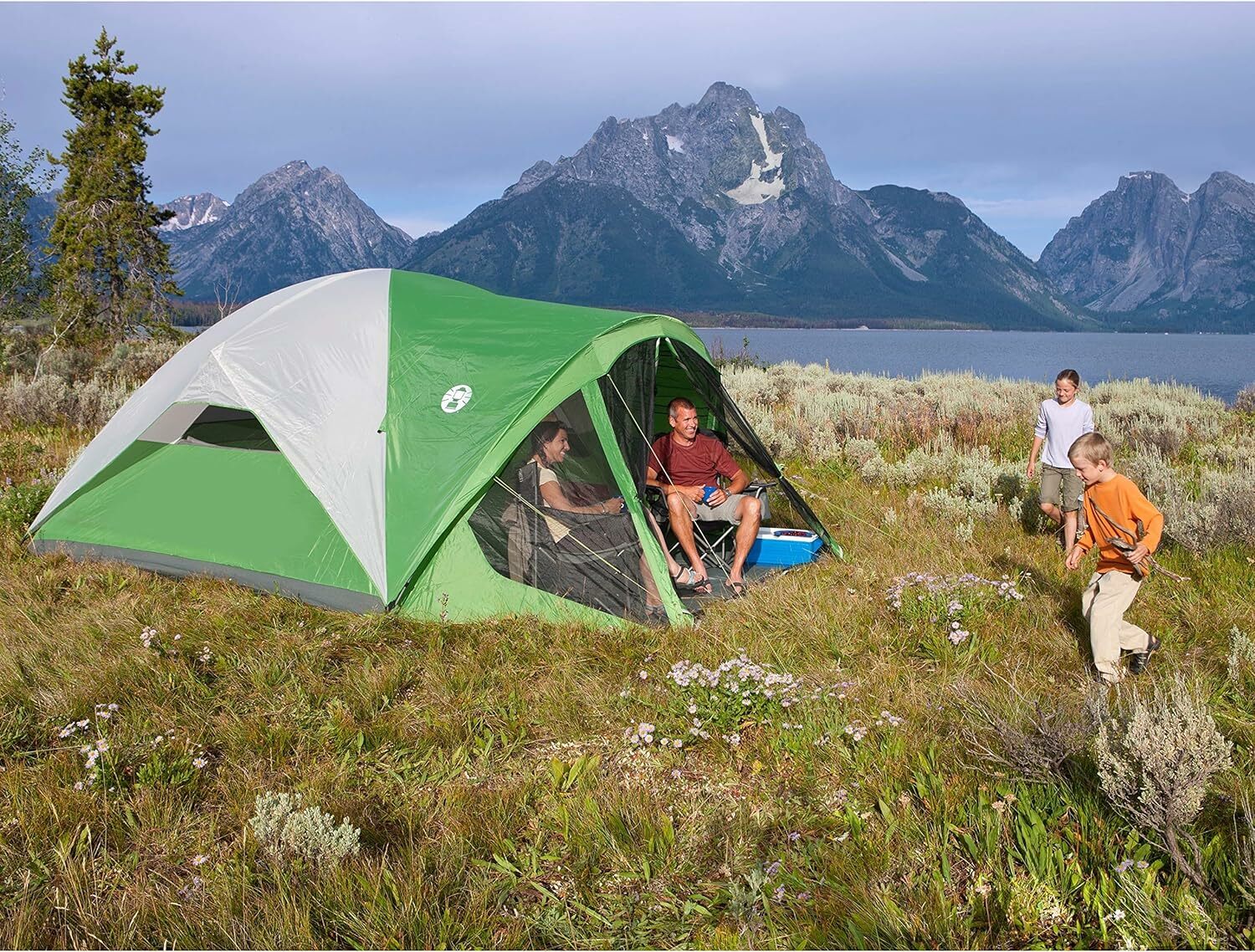 a family camps in a coleman tent in a grassy field