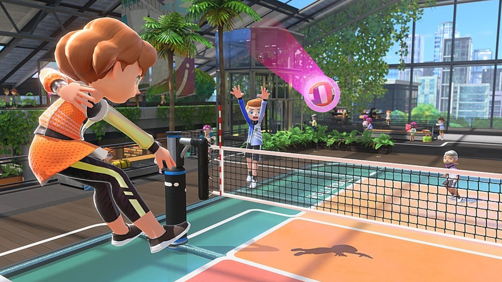 Nintendo Sports Sports screenshot