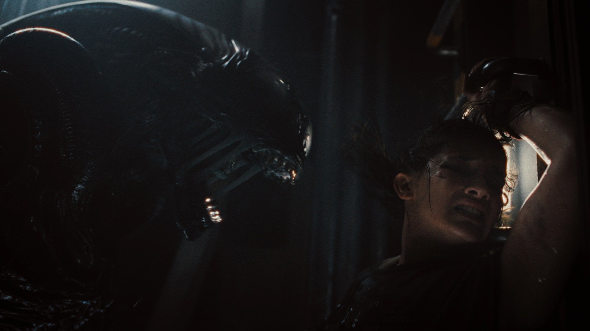 Xenomorph and Cailee Spaeny as Rain Carradine in 20th Century Studios' "ALIEN: ROMULUS."