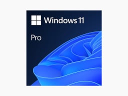 Windows 11 Pro