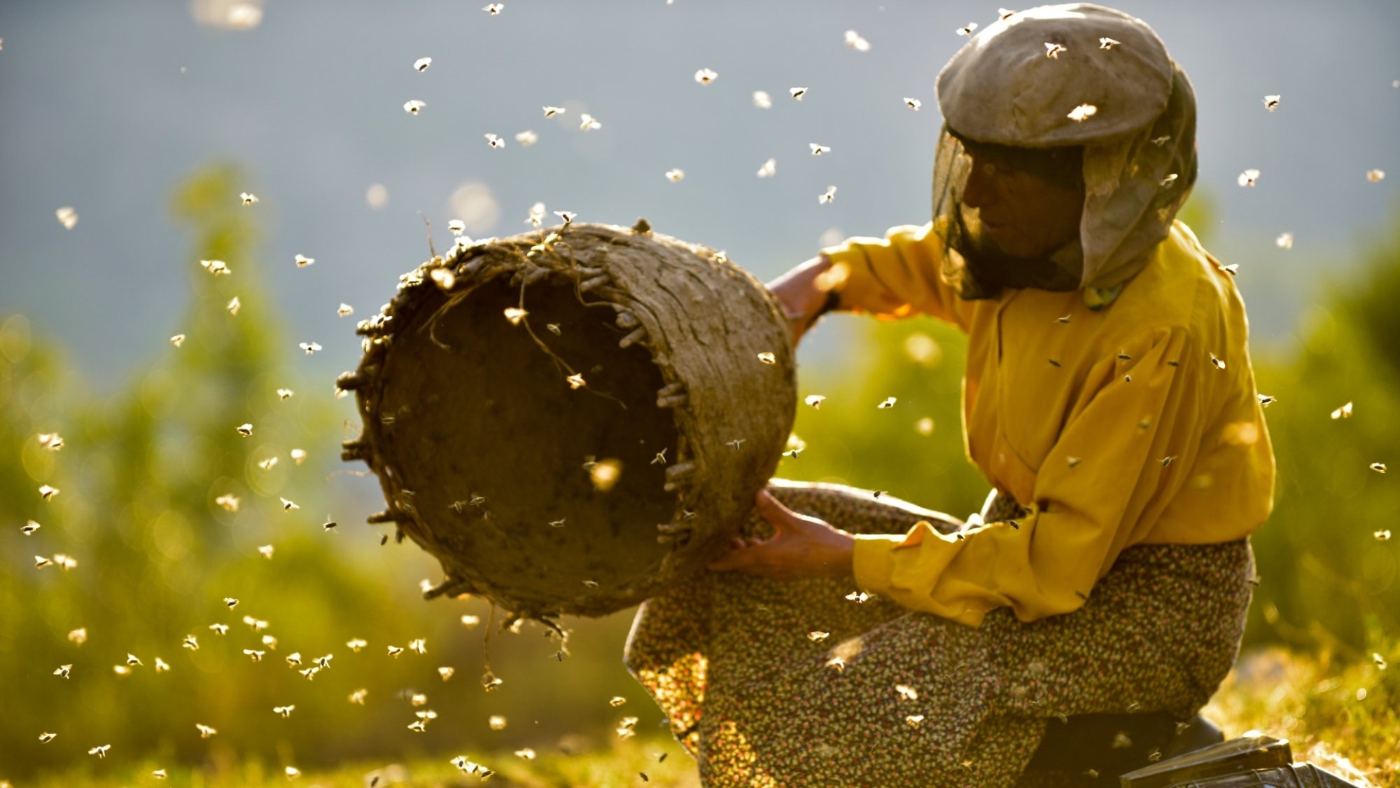 A scene from "Honeyland."