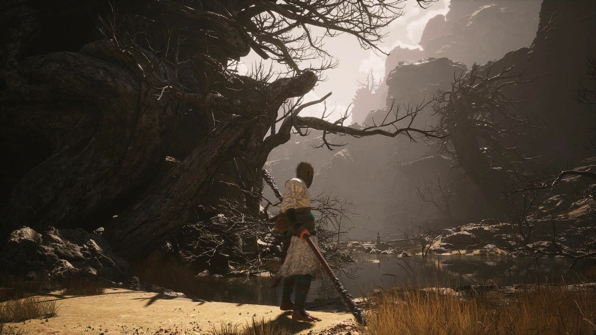 A character holding a large staff stands on the edge of a sandy area, overlooking a barren landscape with twisted, gnarled trees and rocky cliffs. The lighting is soft and muted, casting long shadows as the sun filters through the overcast sky. The scene conveys a sense of solitude and desolation, with the character seemingly deep in thought while gazing at the distant mountains and a small body of water.