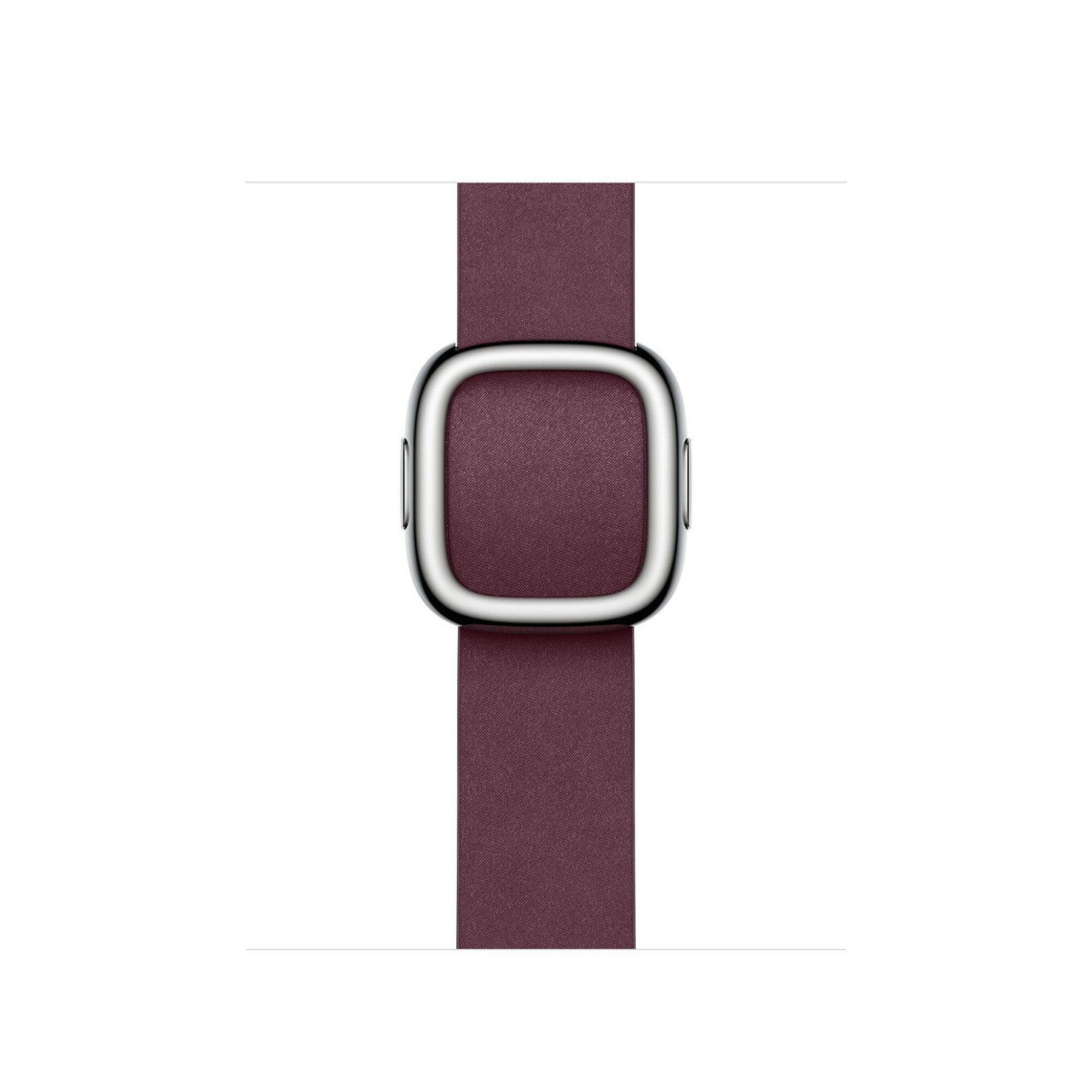 Apple Watch buckle band