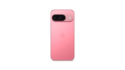 Google Pixel 9 in Peony