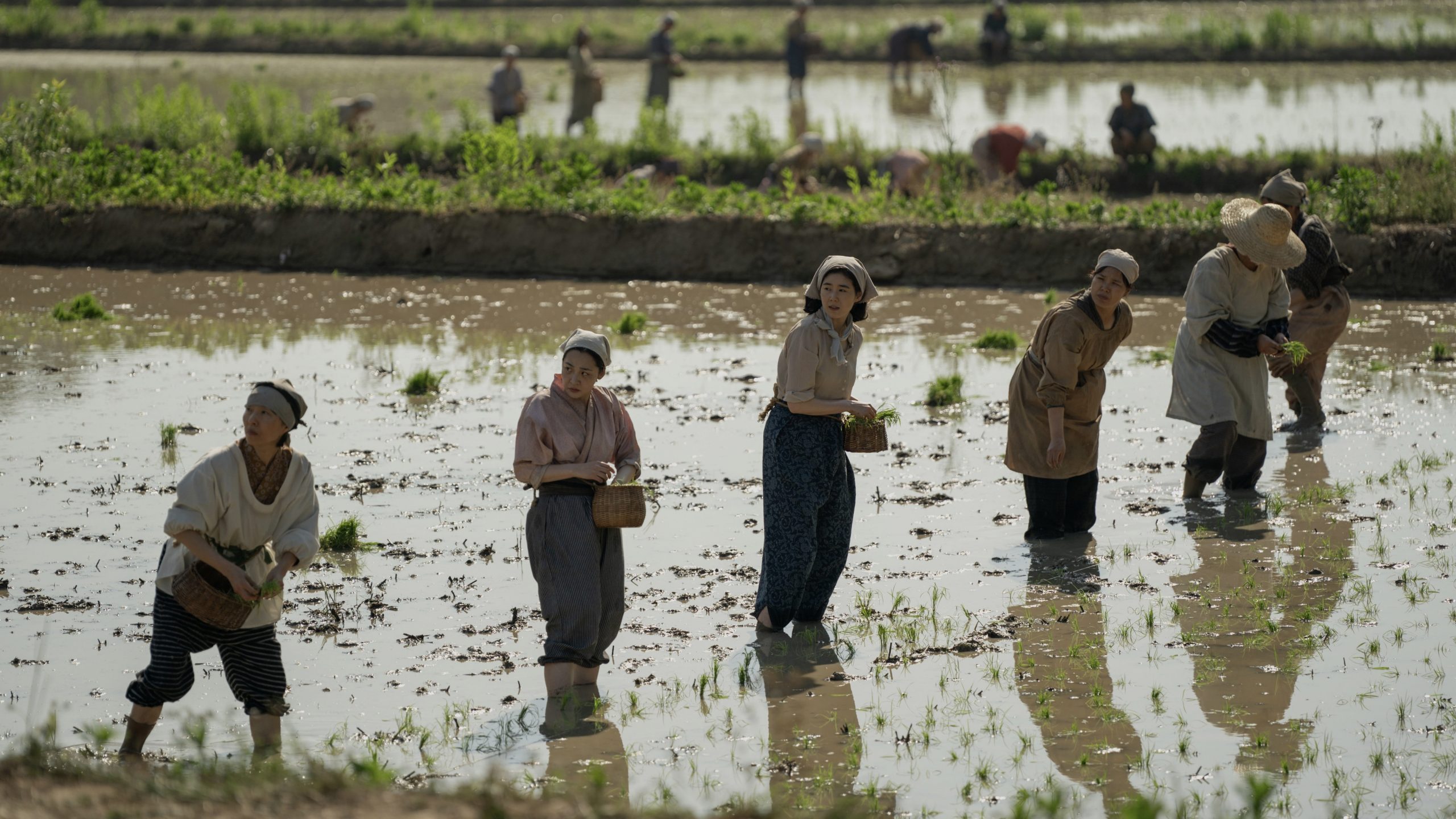 Sunja and Kyunghee work in a rice field.