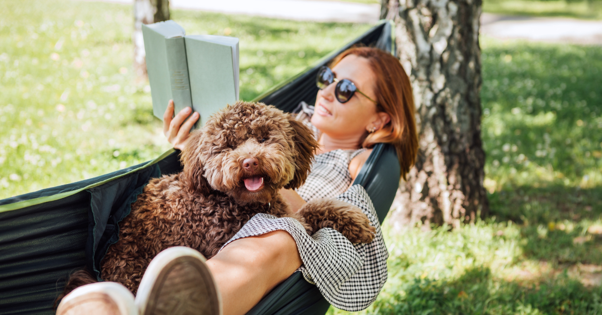 Woman reading book relaxing in hammock with her fluffy brown Maltipoo dog on sunny day. Both looking content and happy. This outdoor scene captures joy of bonding with pets and enjoying togetherness