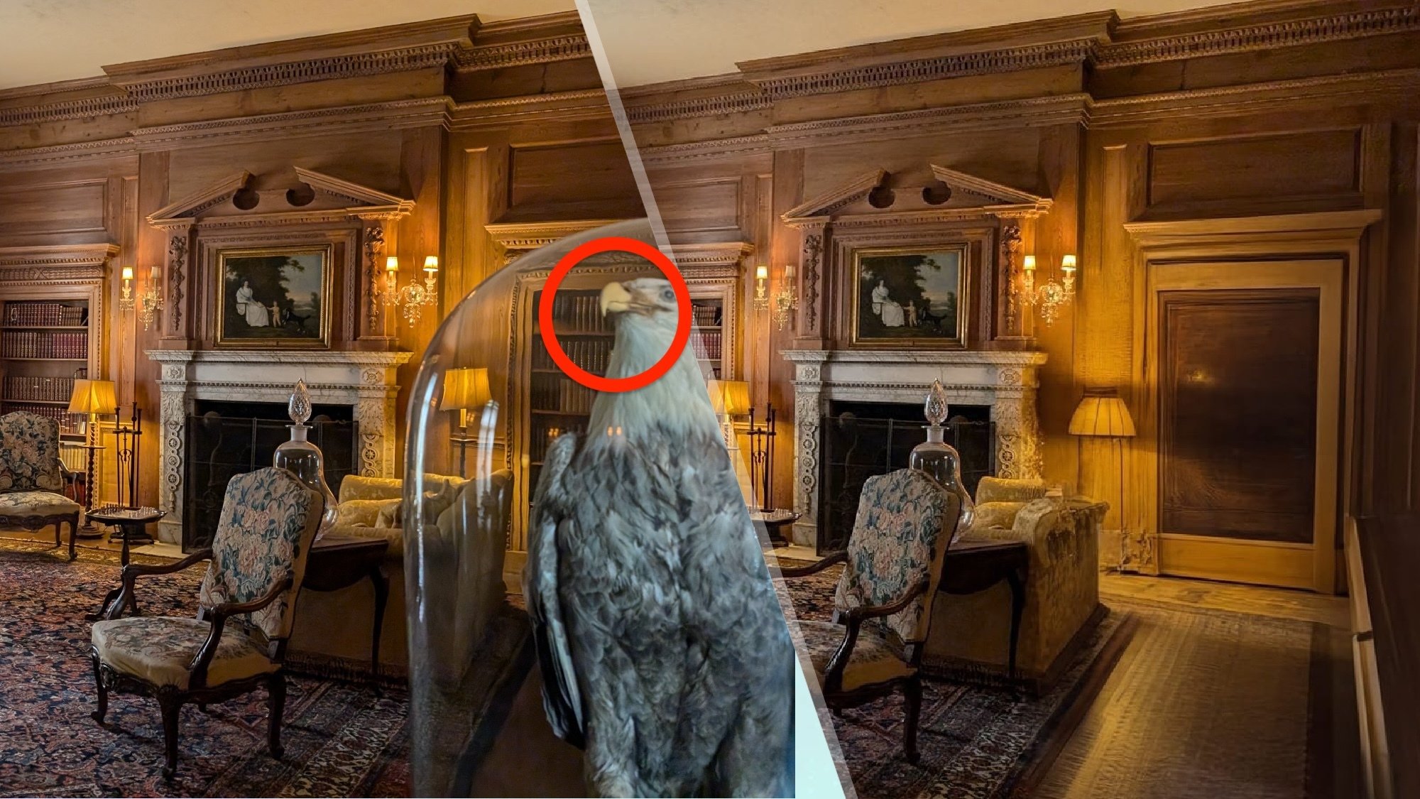 A split image of a room inside the Vanderbilt Museum with the owl circled