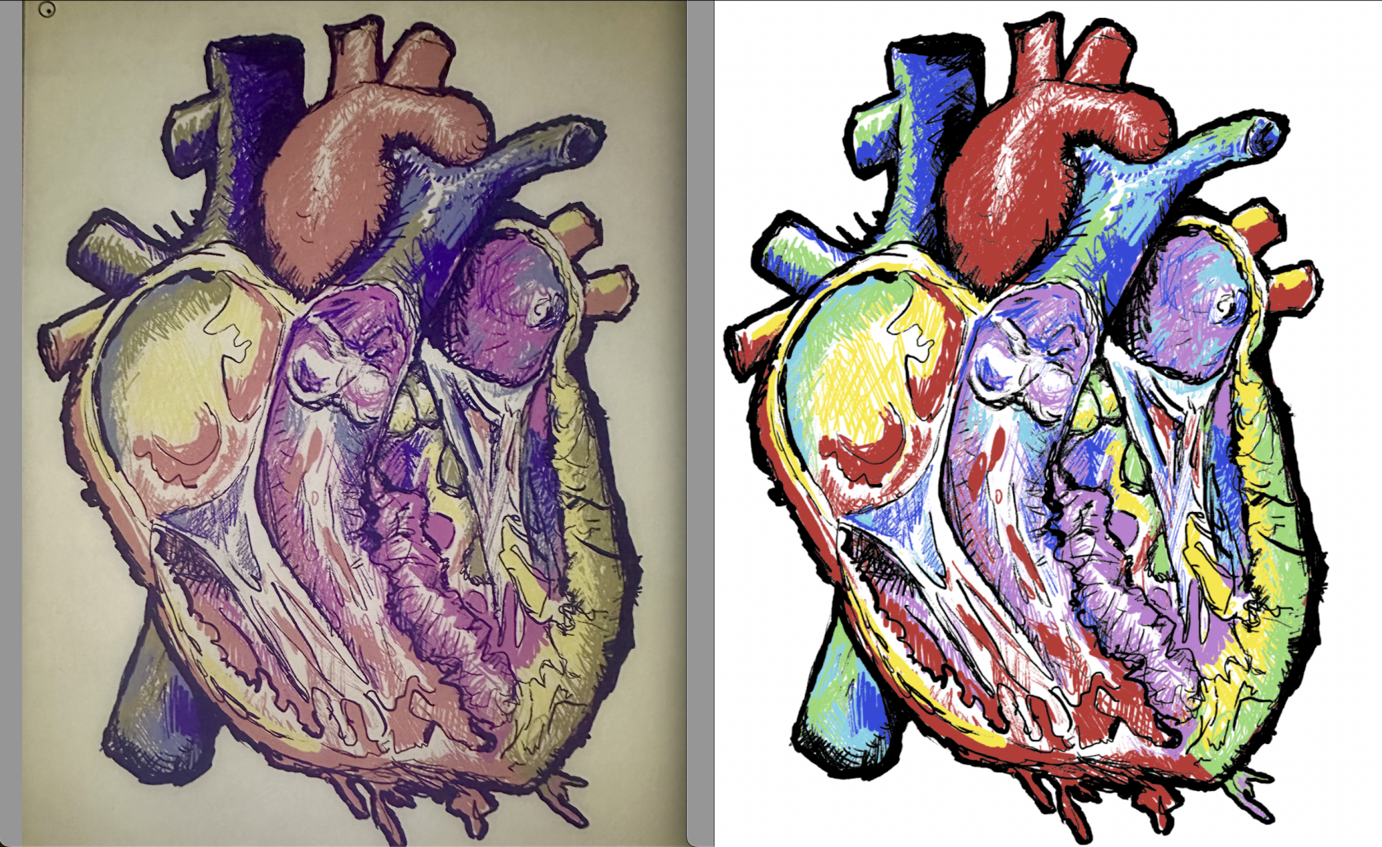 Two colorful drawings of a human heart. The first is more washed out