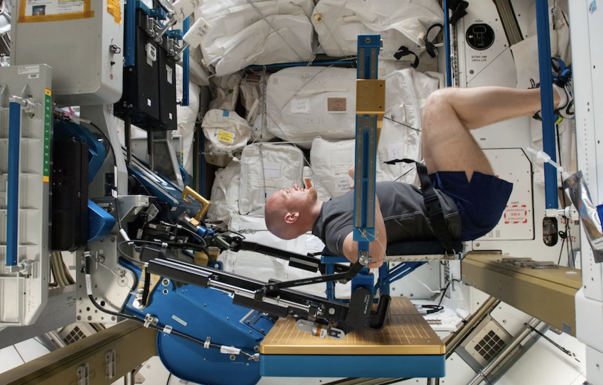 ESA (European Space Agency) astronaut Alexander Gerst exercising on the space station to combat loss of muscle and bone density.