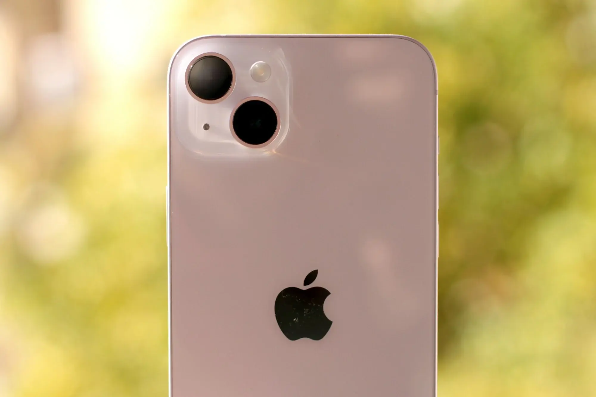 iPhone 14 Plus back cover and rear cameras