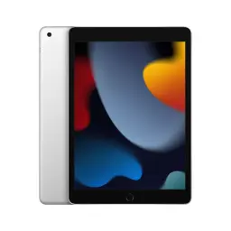 10.2-inch Apple iPad (9th gen, A13 Bionic, 256GB)