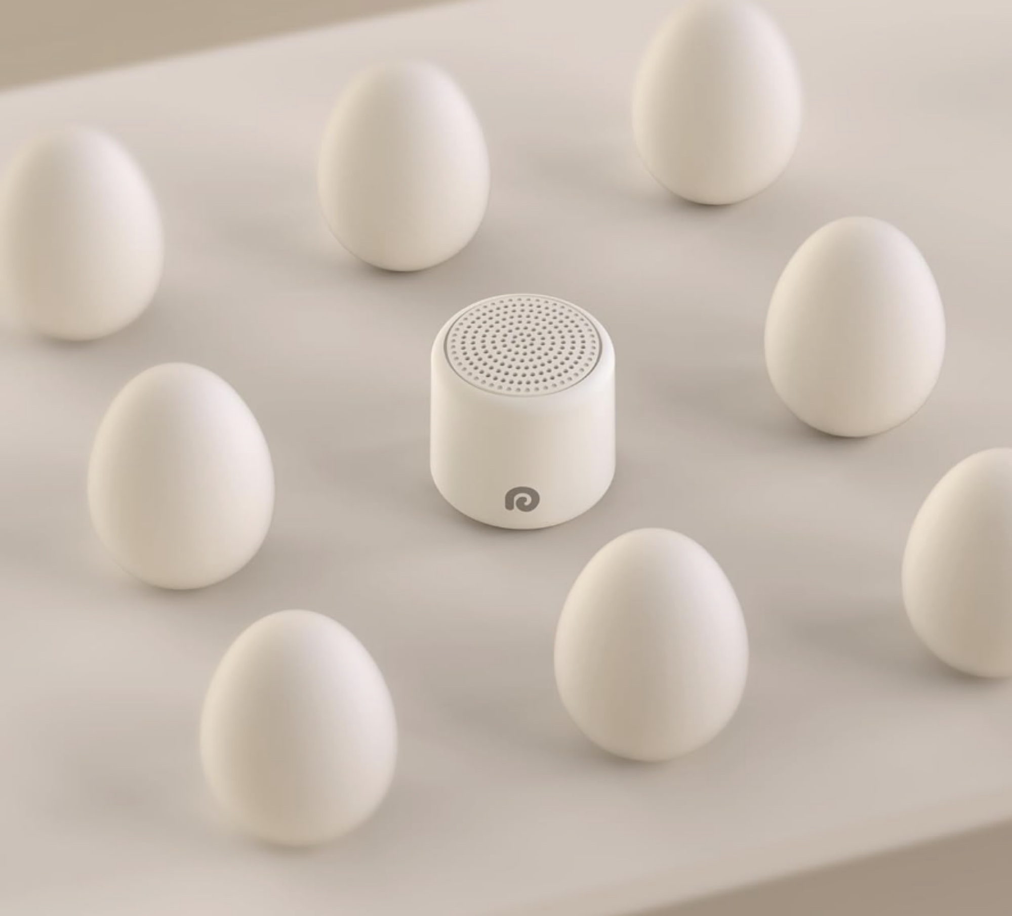 white noise machine among eggs