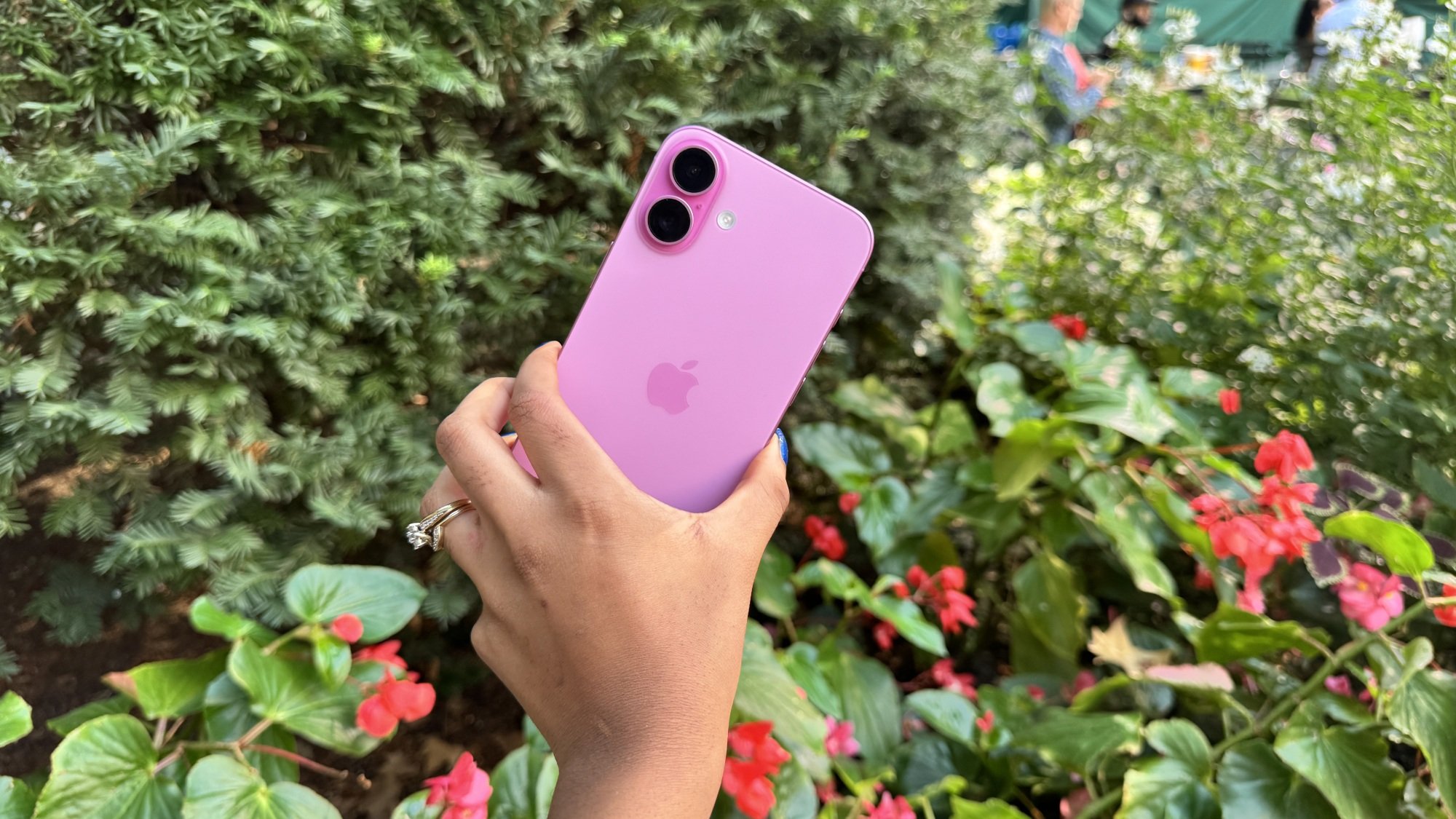 iPhone 16 Plus in "Pink"