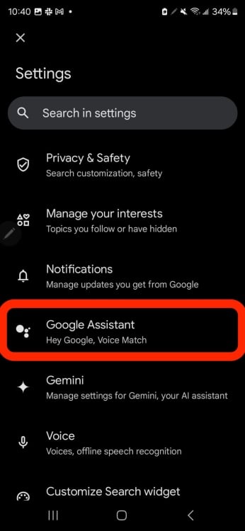 Google Assistant option selected with red rectangle