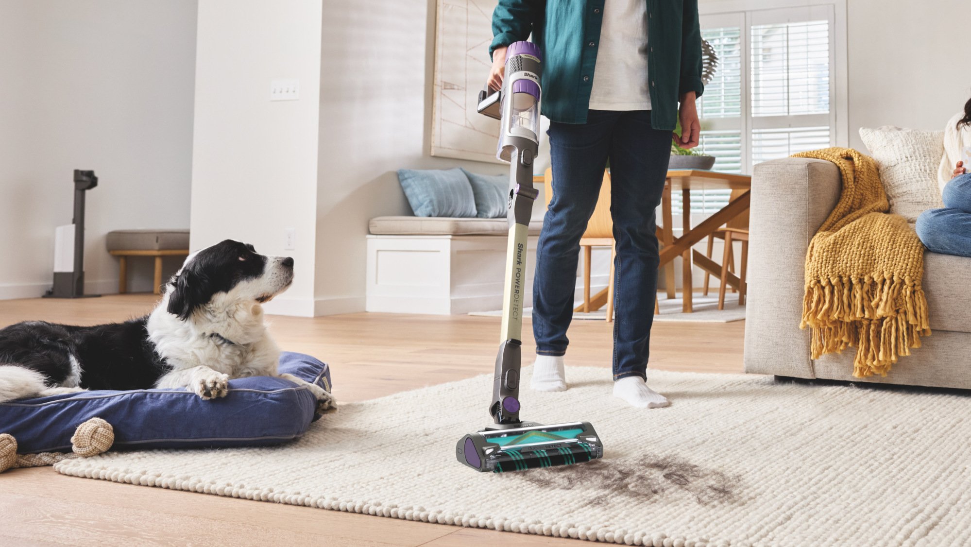 dog watching man use shark powerdetect cordless stick vacuum